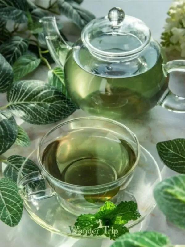 Green Tea with Mint شاي أخضر مع  نعناع
